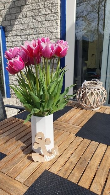 Entspannen auf dem Sonnendeck