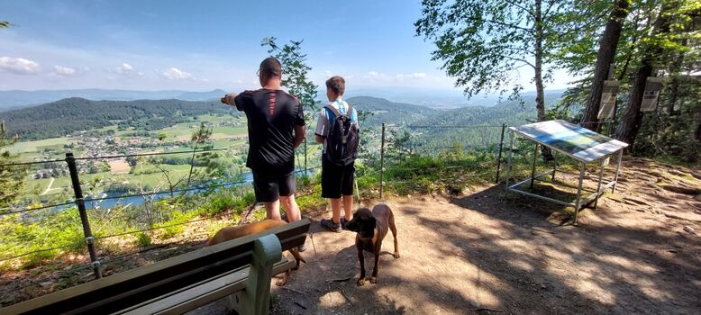 Waldohreulenwanderweg direkt in Köttmannsdorf , mitten in der unberührten Natur