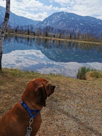 Herbstspaziergang beim Ressnigteich