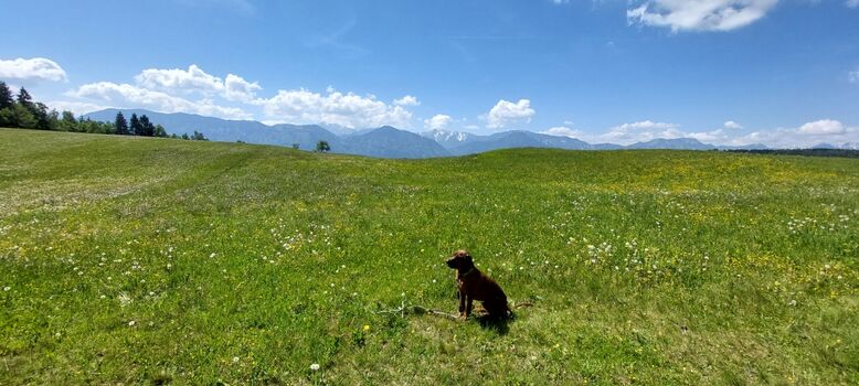 Wandern am Plöschenberg (Köttmannsdorfer Hausberg)