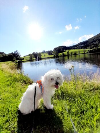 Unser Liebling Idefix , Ebenreuther See