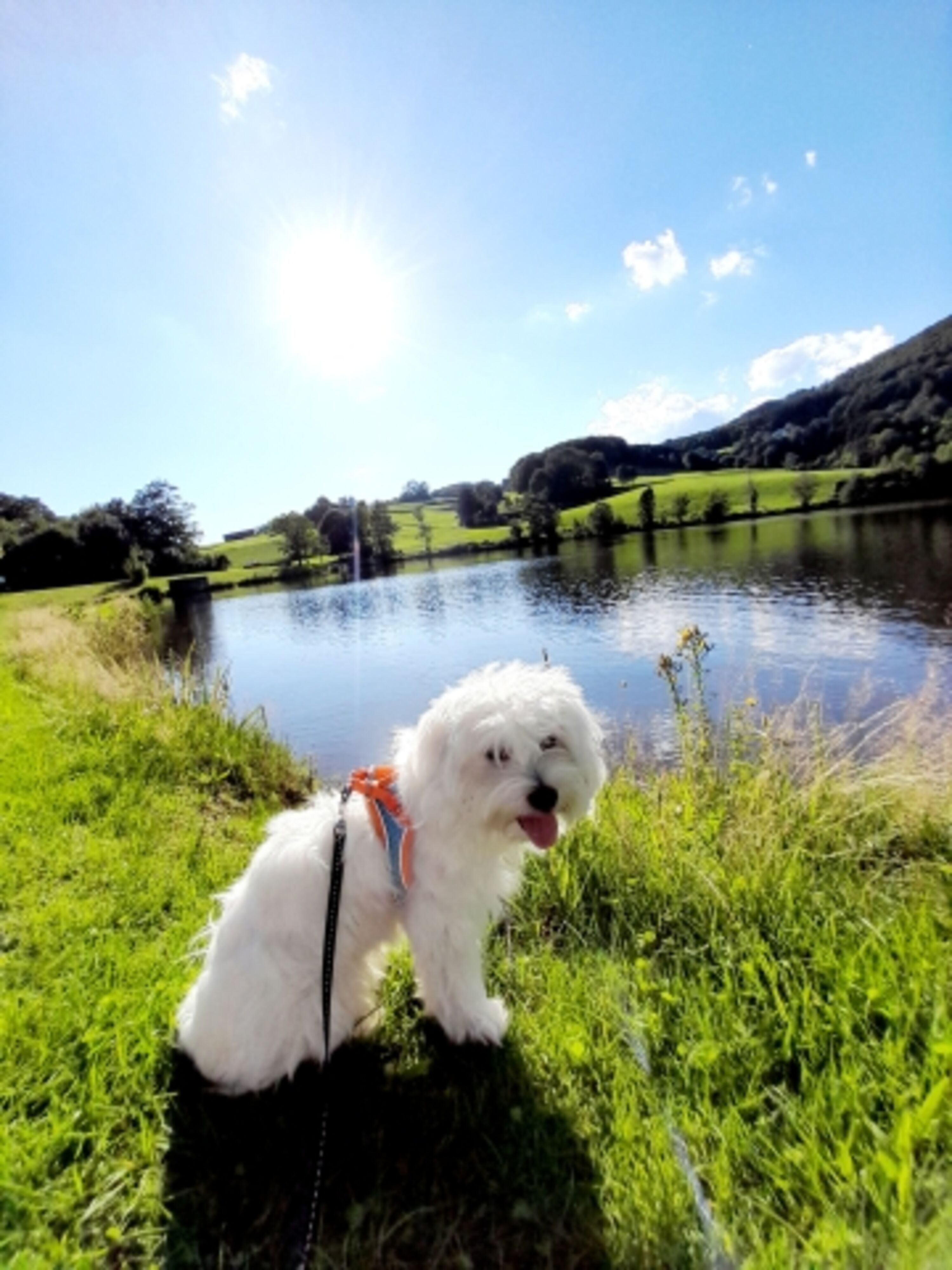 Unser Liebling Idefix , Ebenreuther See