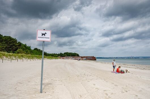 Hundestrand in Prora