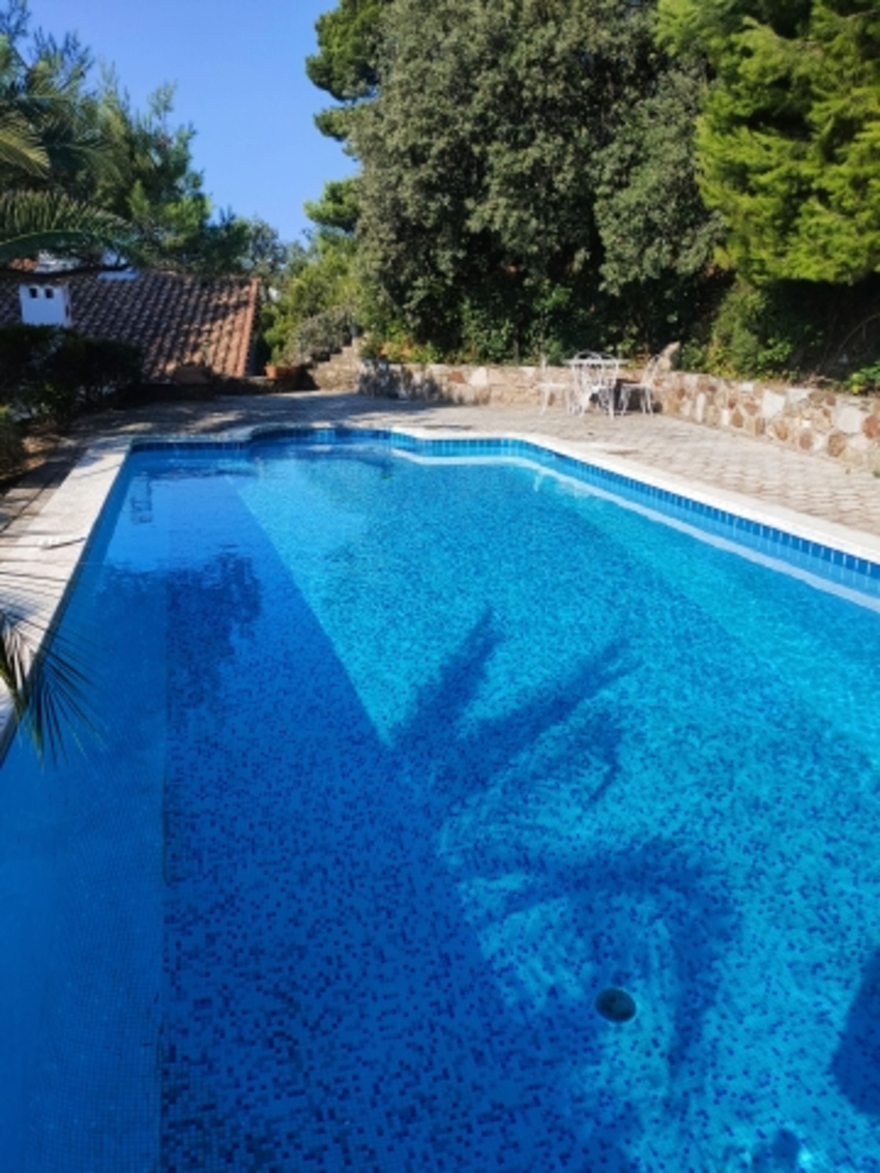 Privater Pool