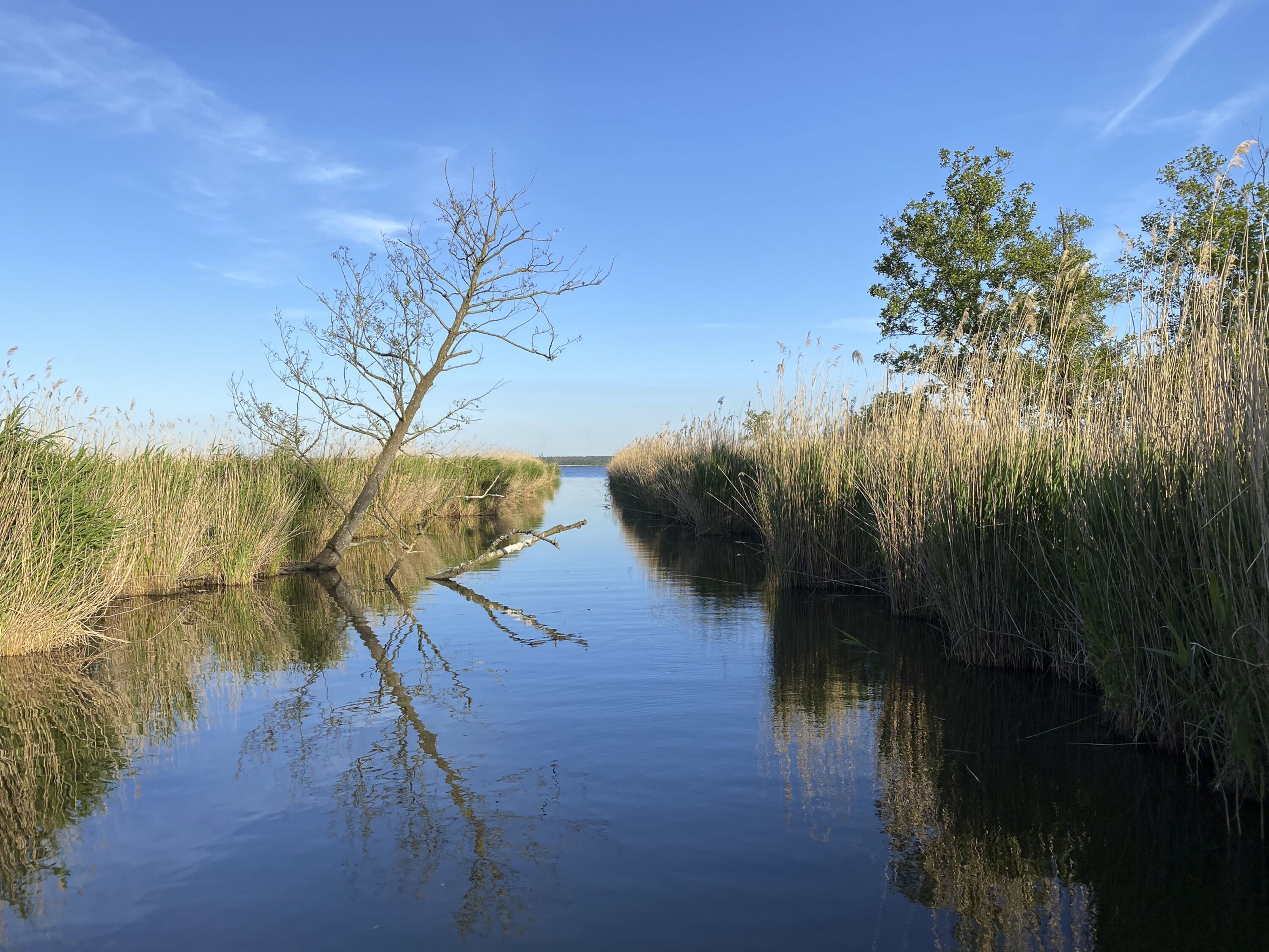 Der Amazonas.
