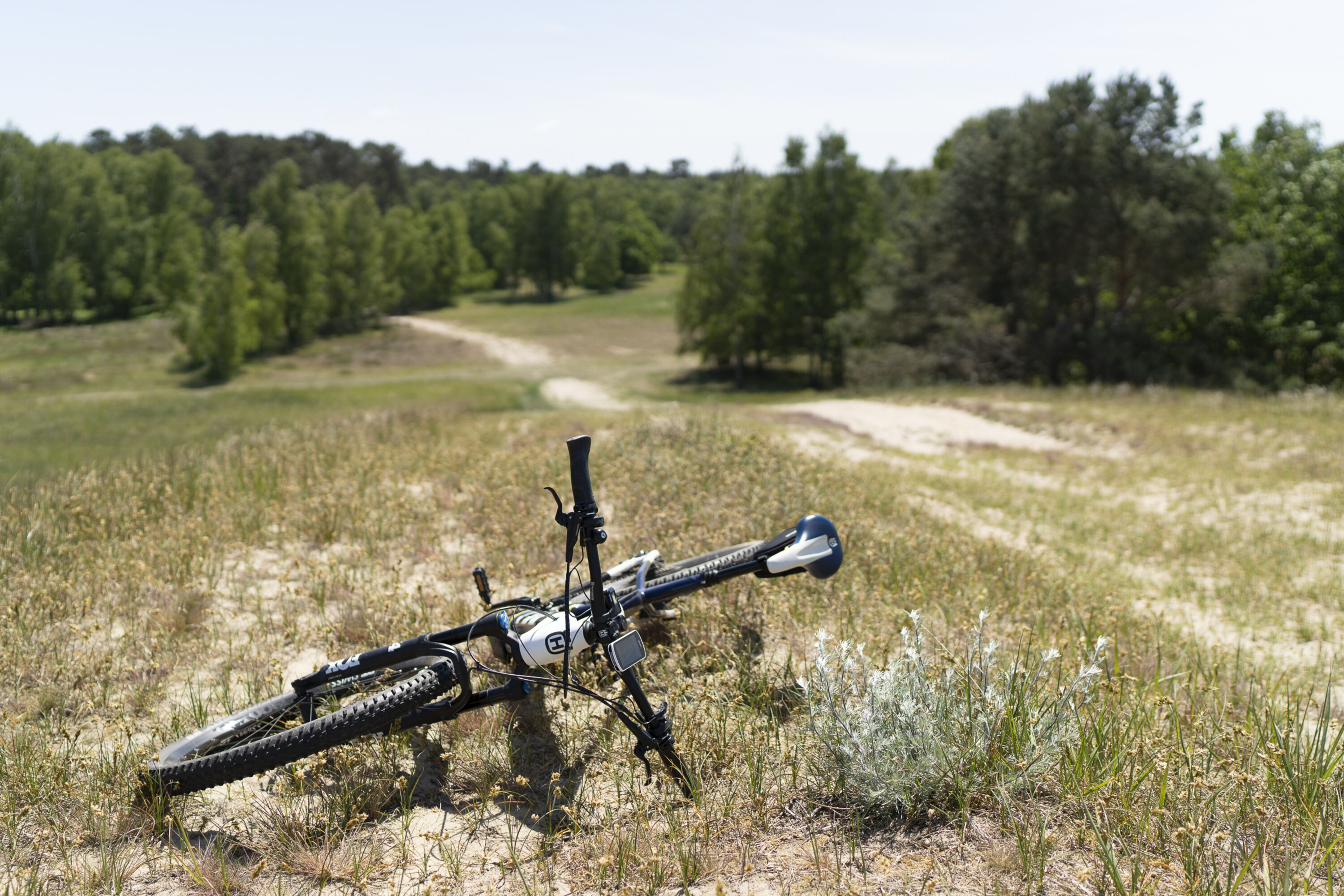 Es gibt auch Hügel zum Mountainbiken.