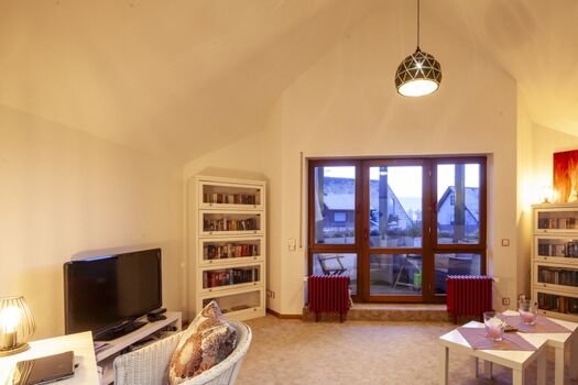 Wohnzimmer mit TV und vielen Büchern.