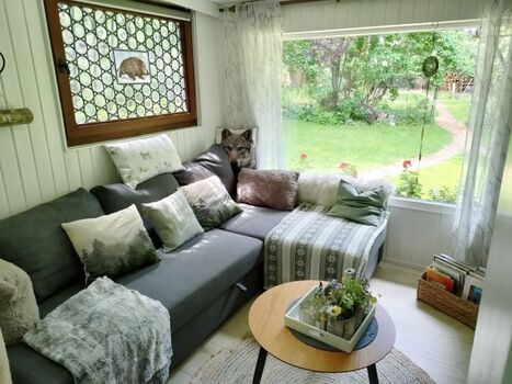 Kuschelecke mit Schlafsofa