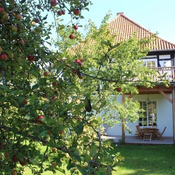 Blick von der Obstwiese