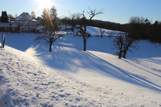 Das Grundstück ist über 1 Hektar gross 
