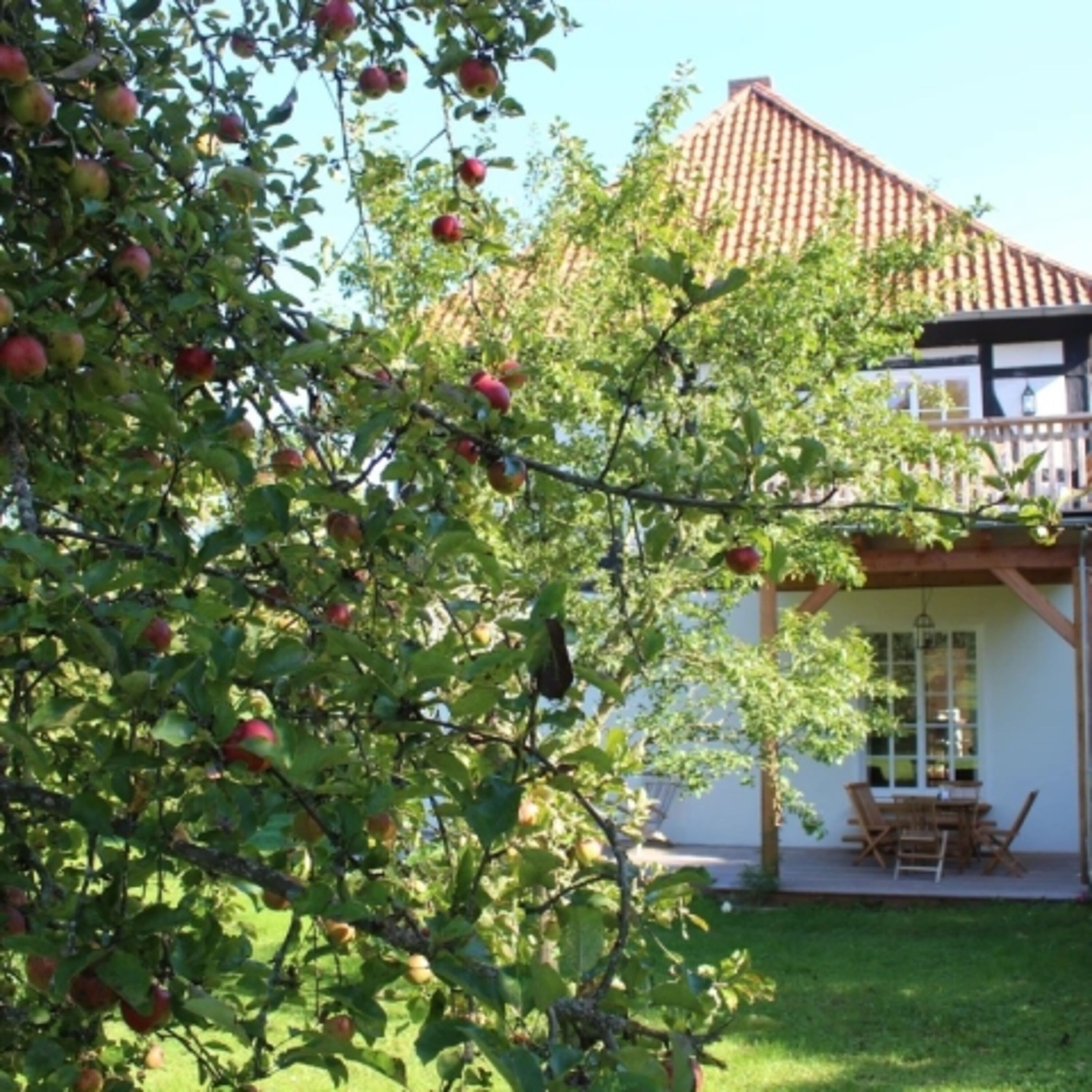 Blick von der Obstwiese