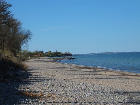 Strand in Norgaardholz