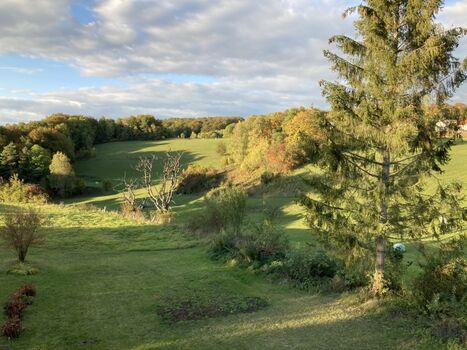 Im Herzen des romantischen Deutschlands