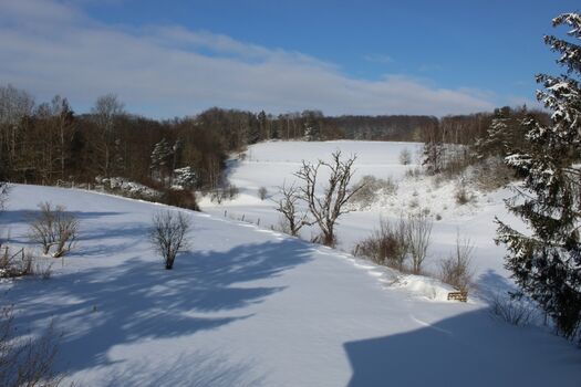 Auch im Winter ein Blickfang