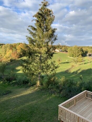 Eine idyllische Landschaft