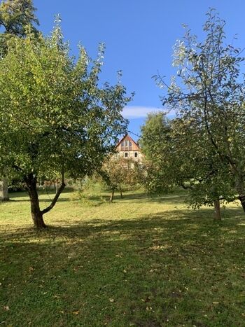 Die Streuobstwiese vor der Terrasse
