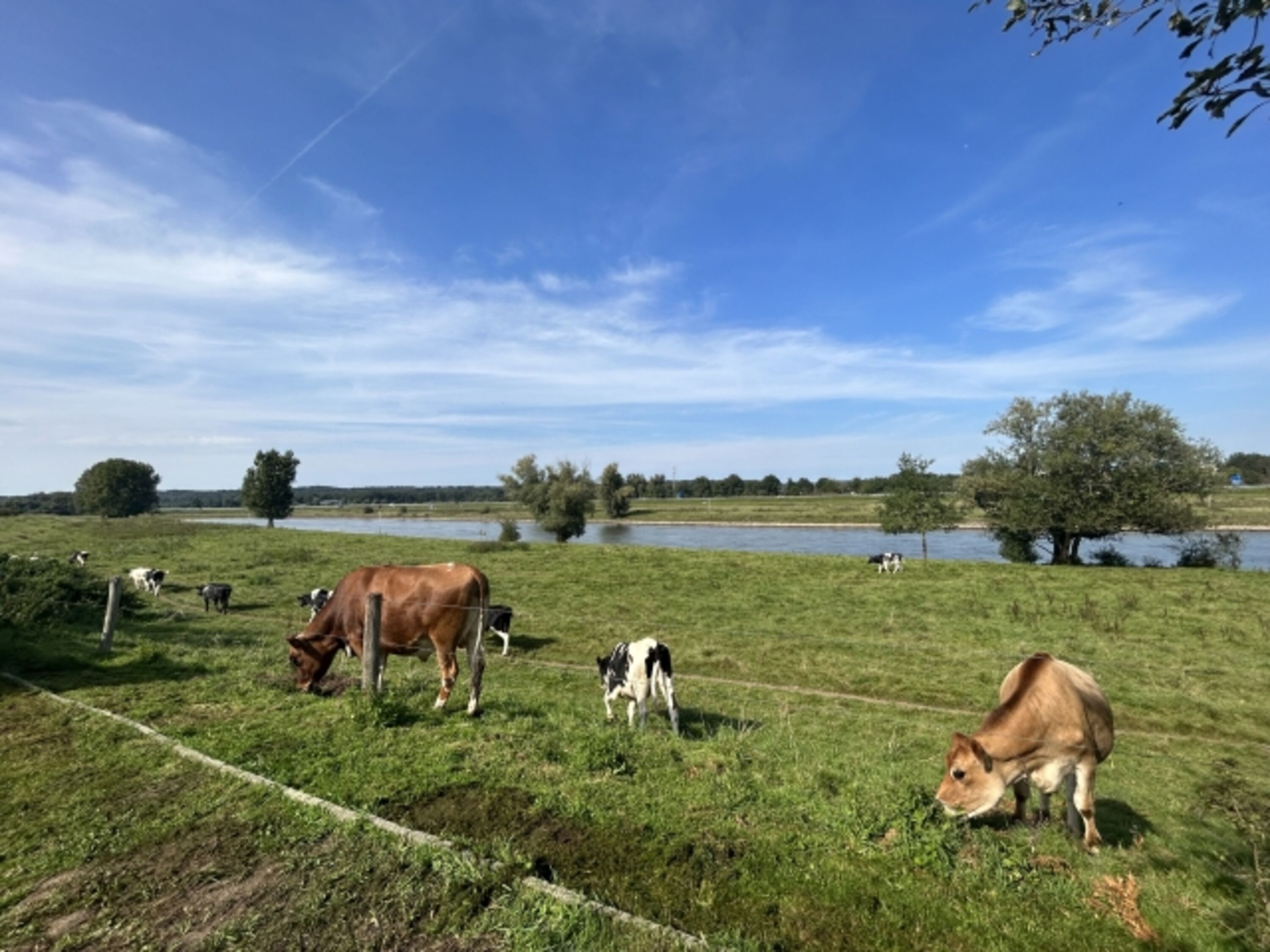 Ausblick 