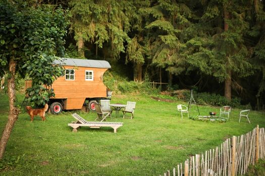 Blick in den Garten, eingezäunter Hundebereich