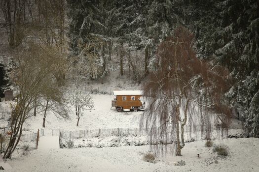 Impressionen im Winter