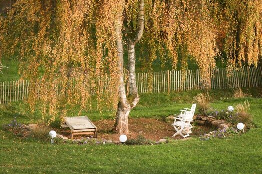 Romatischer Sitzplatz unter der Hängebirke