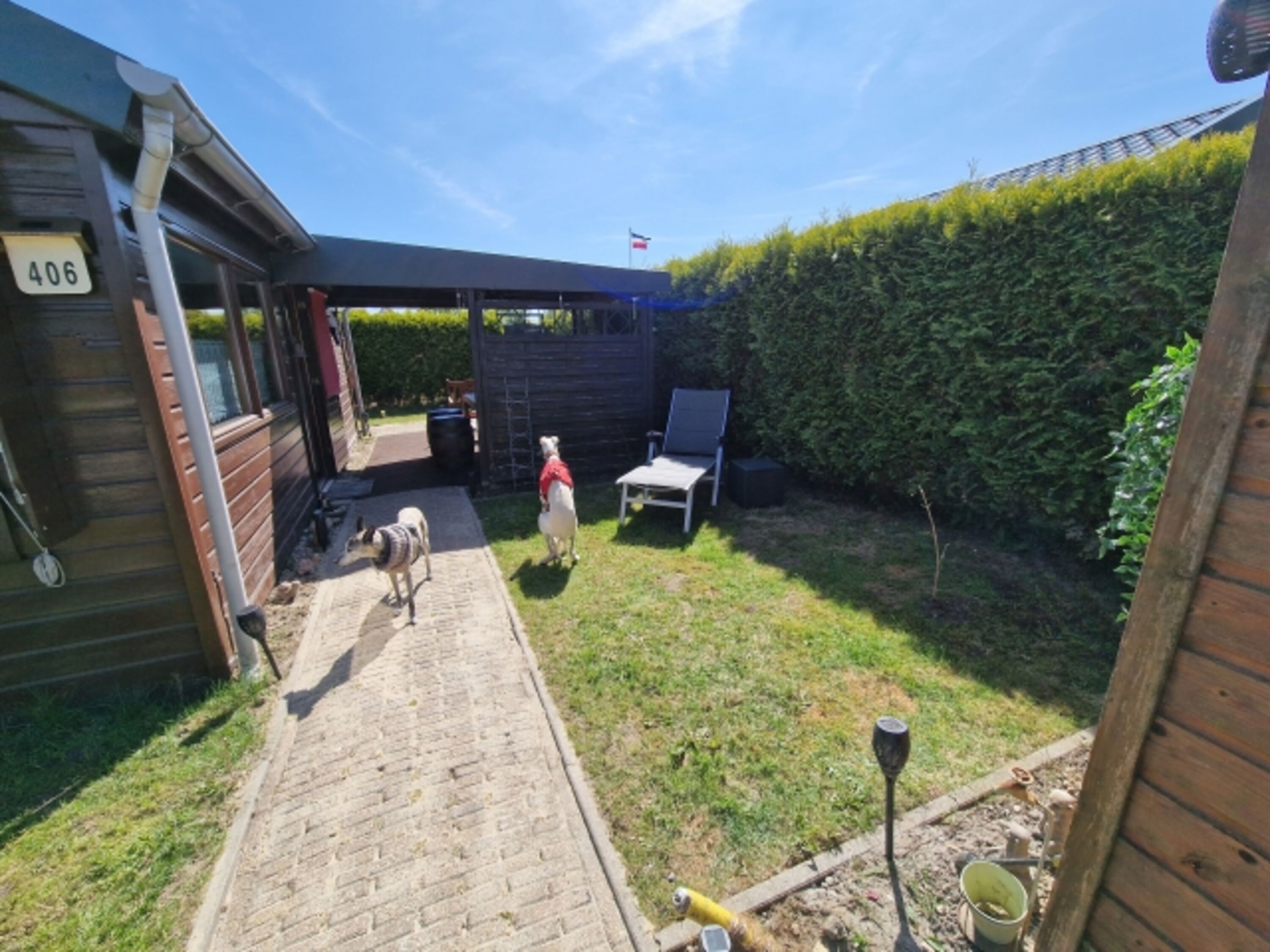 Bild 11