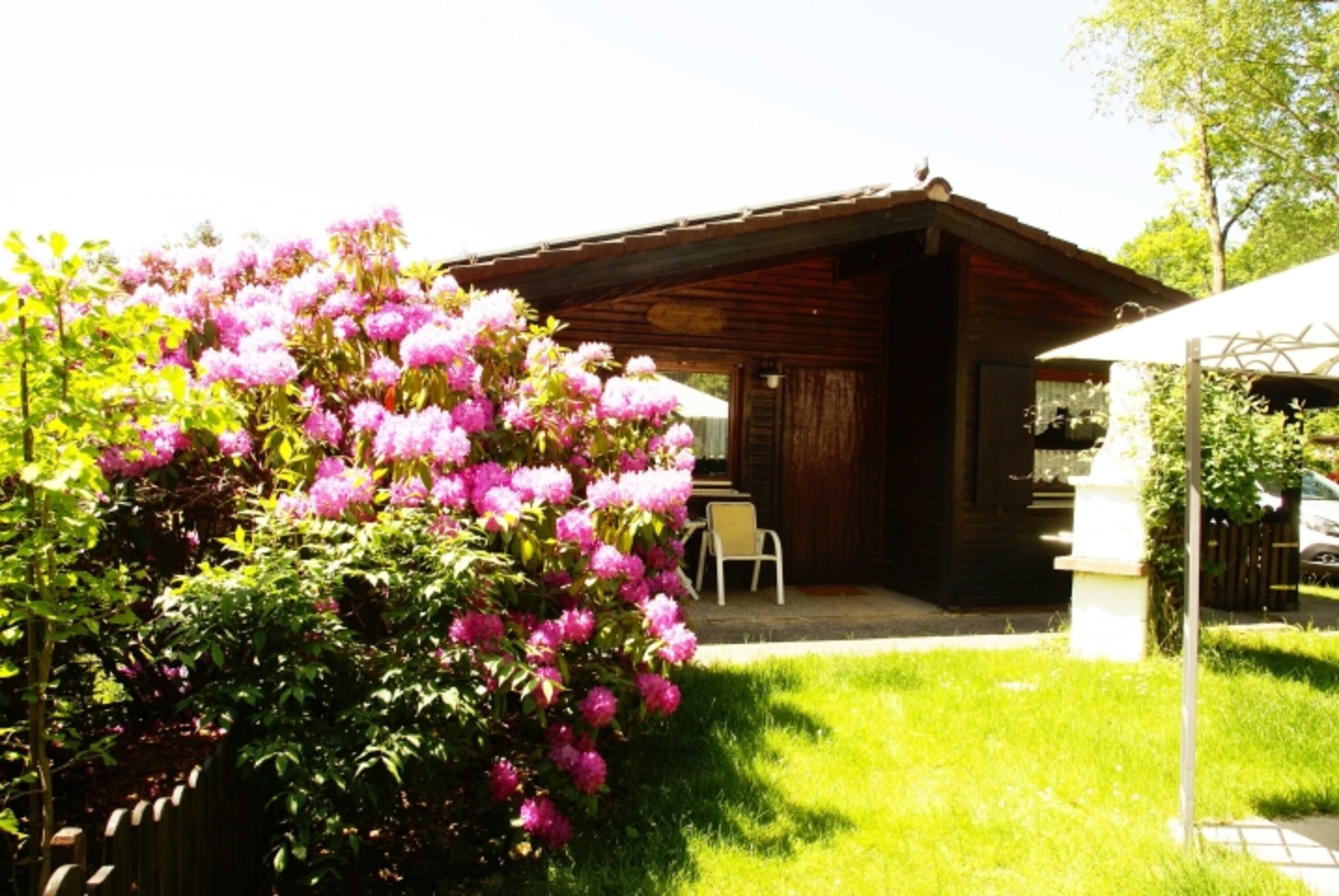 Garten Frühjahr