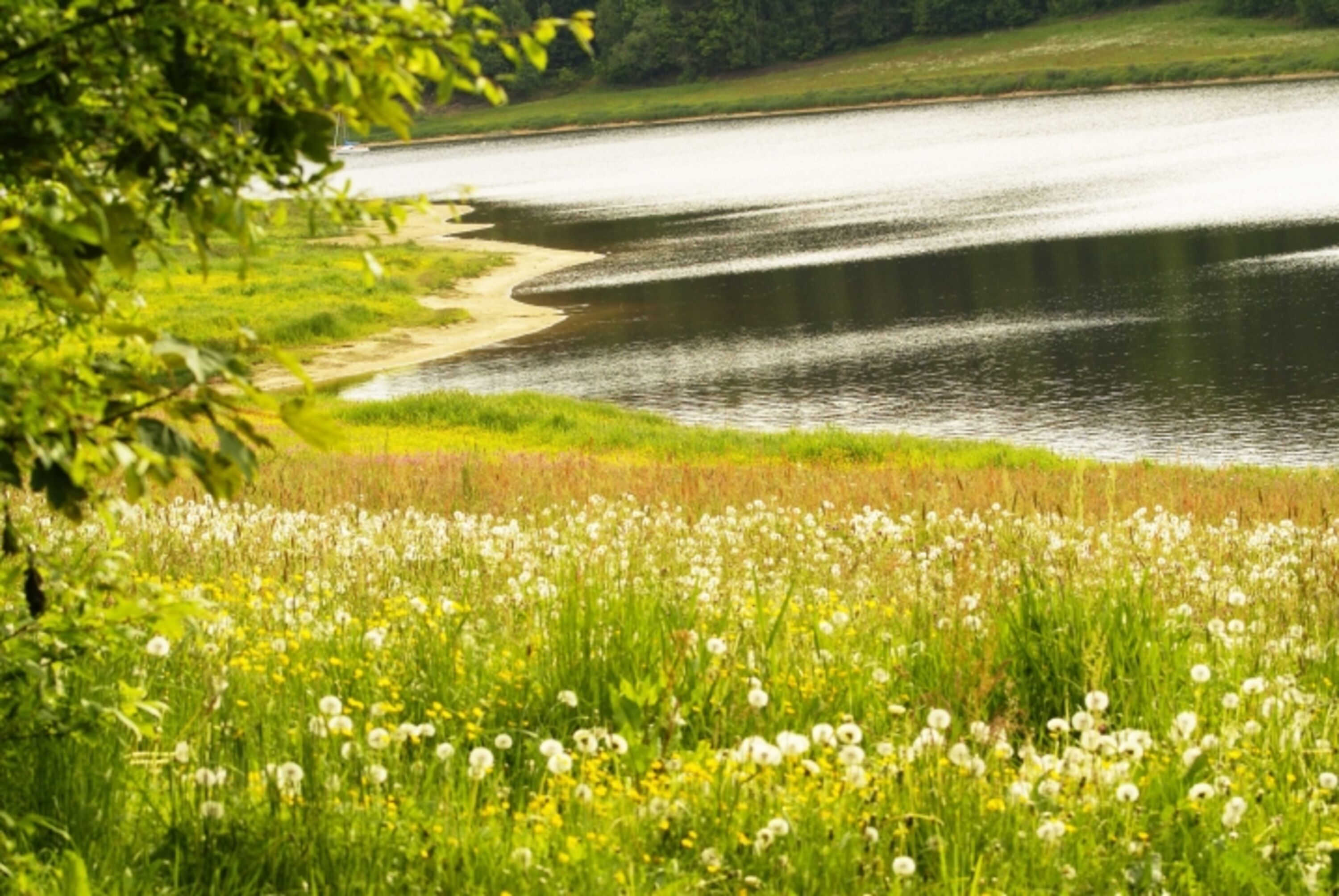 Eixendorfer Stausee