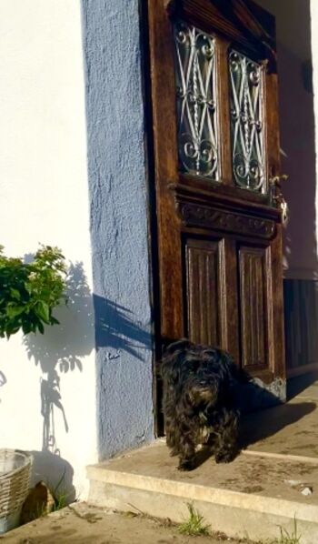 Eingang zu Jacks Schieferhaus