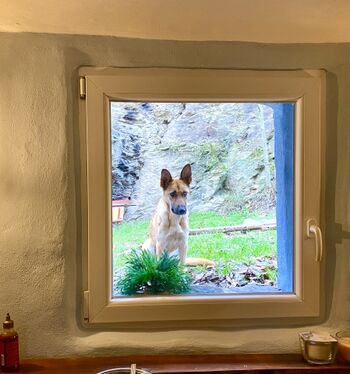 Küchenmeister mit Blick auf den Schieferfels