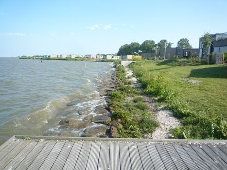 Steg mit Bademöglichkeit für Hunde im Park