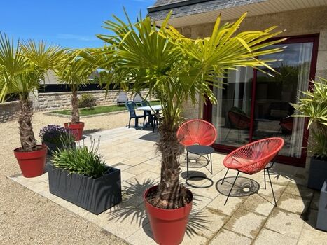 Ein sehr schön Garten!