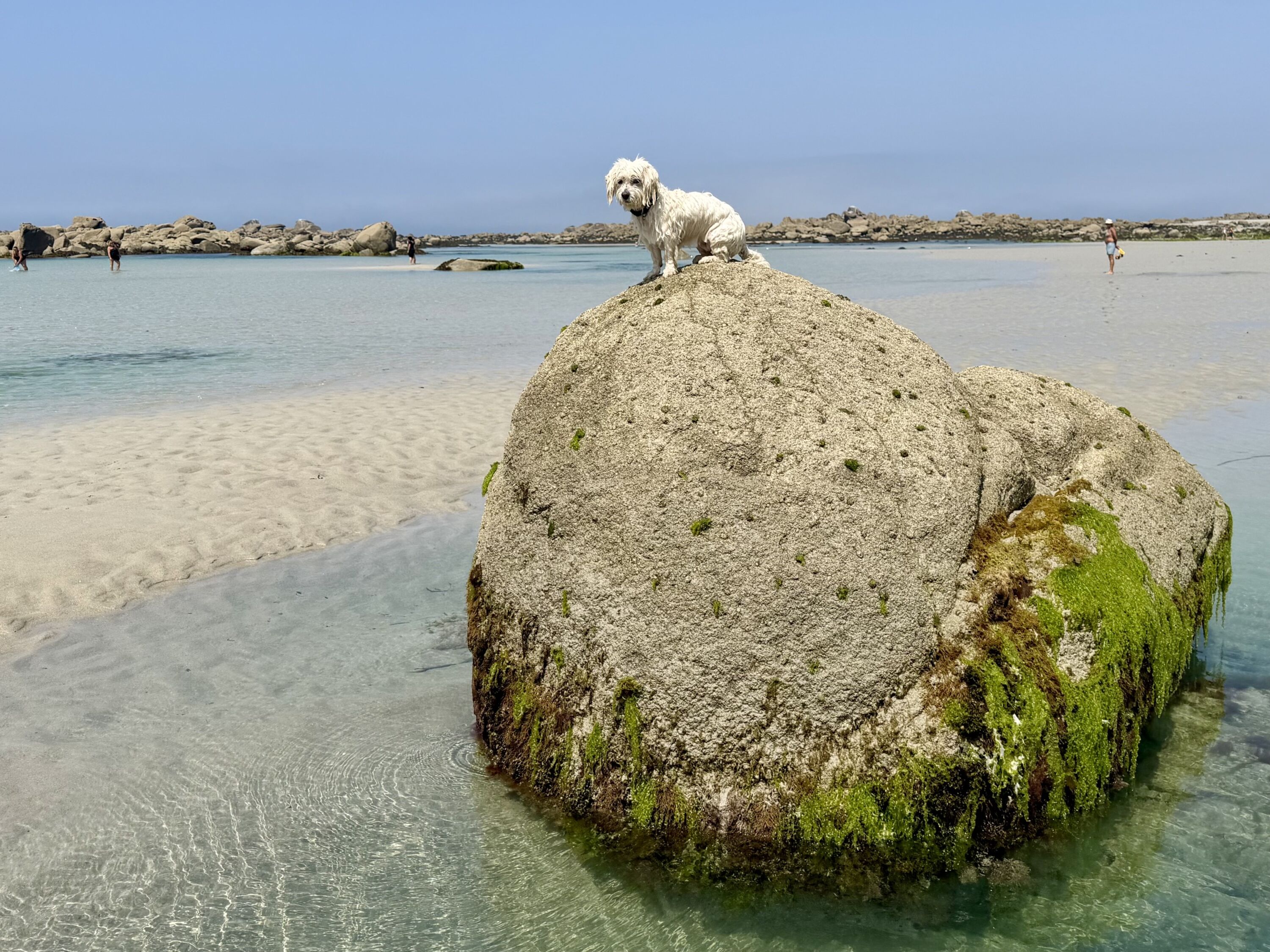 Unsere Malya mit uns am Strand :)