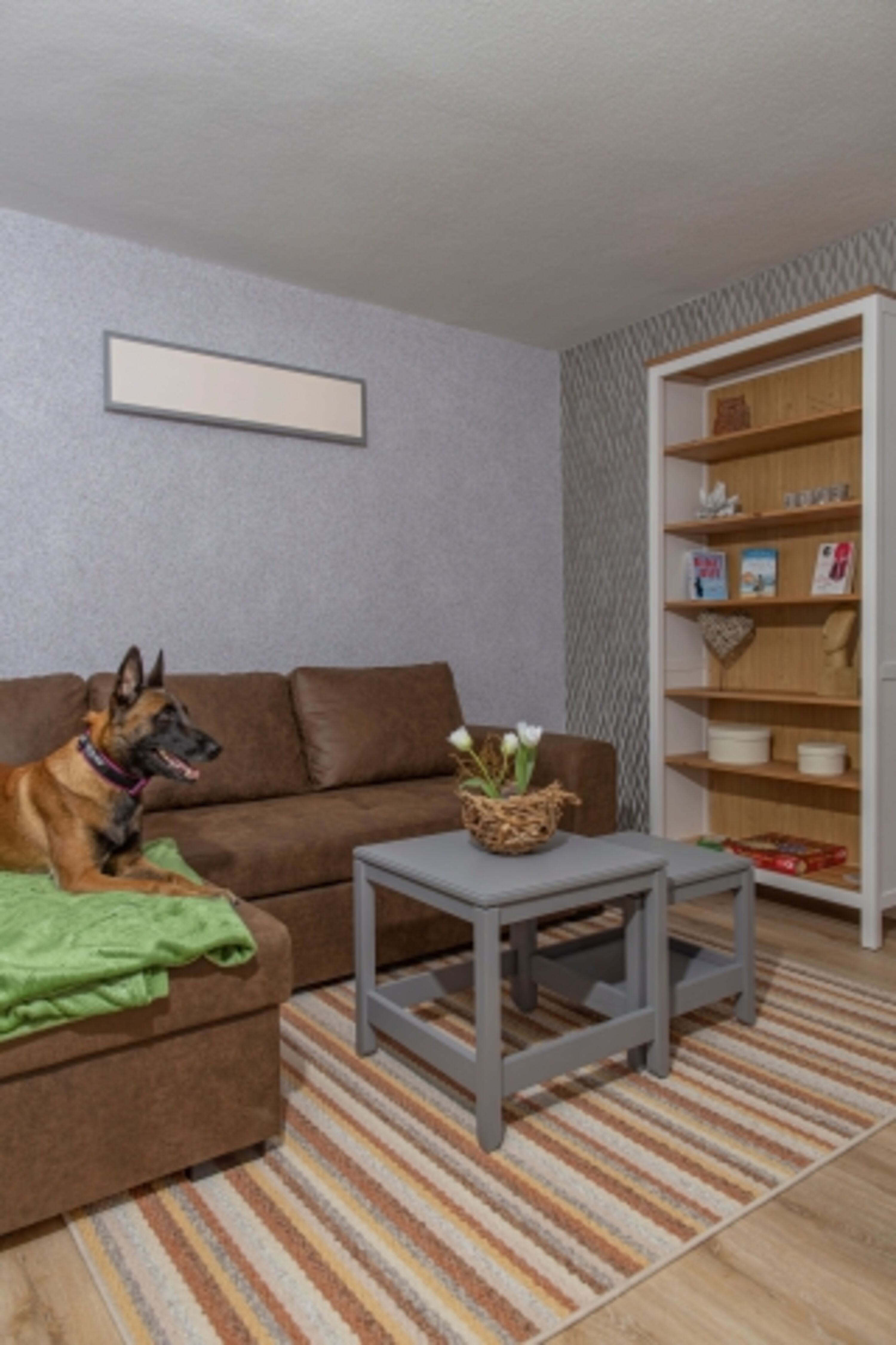 Bild 12