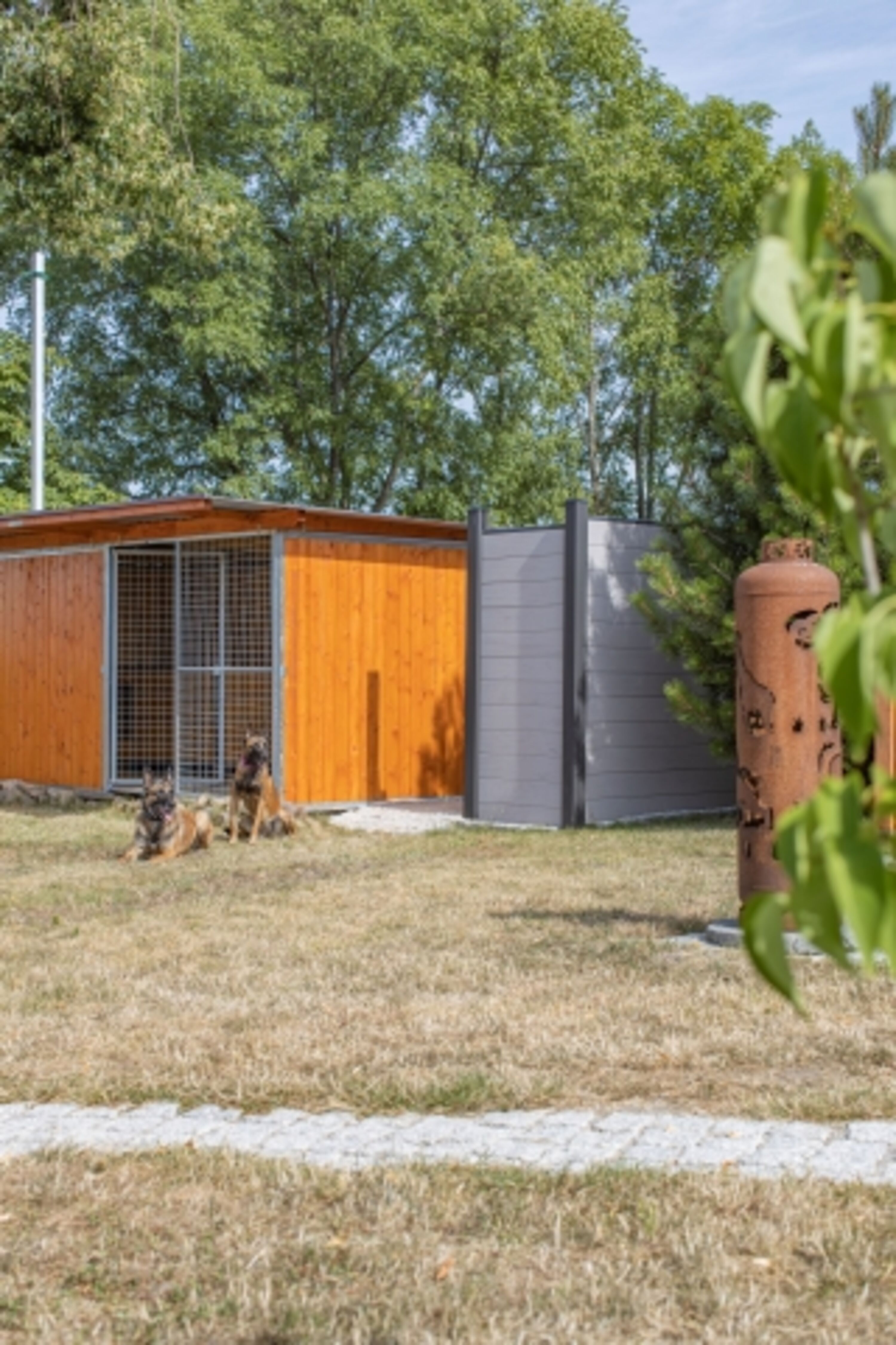 Bild 5