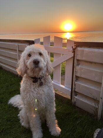 hereinspaziert! Das Meer zum Greifen nah!