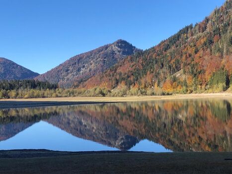 Weitsee - Hundeparadies 