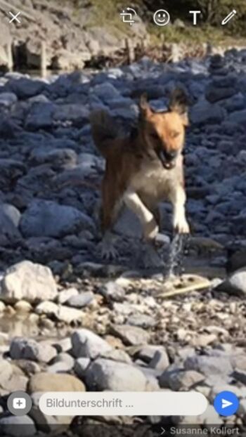 Loferstrand im Märchenwald 