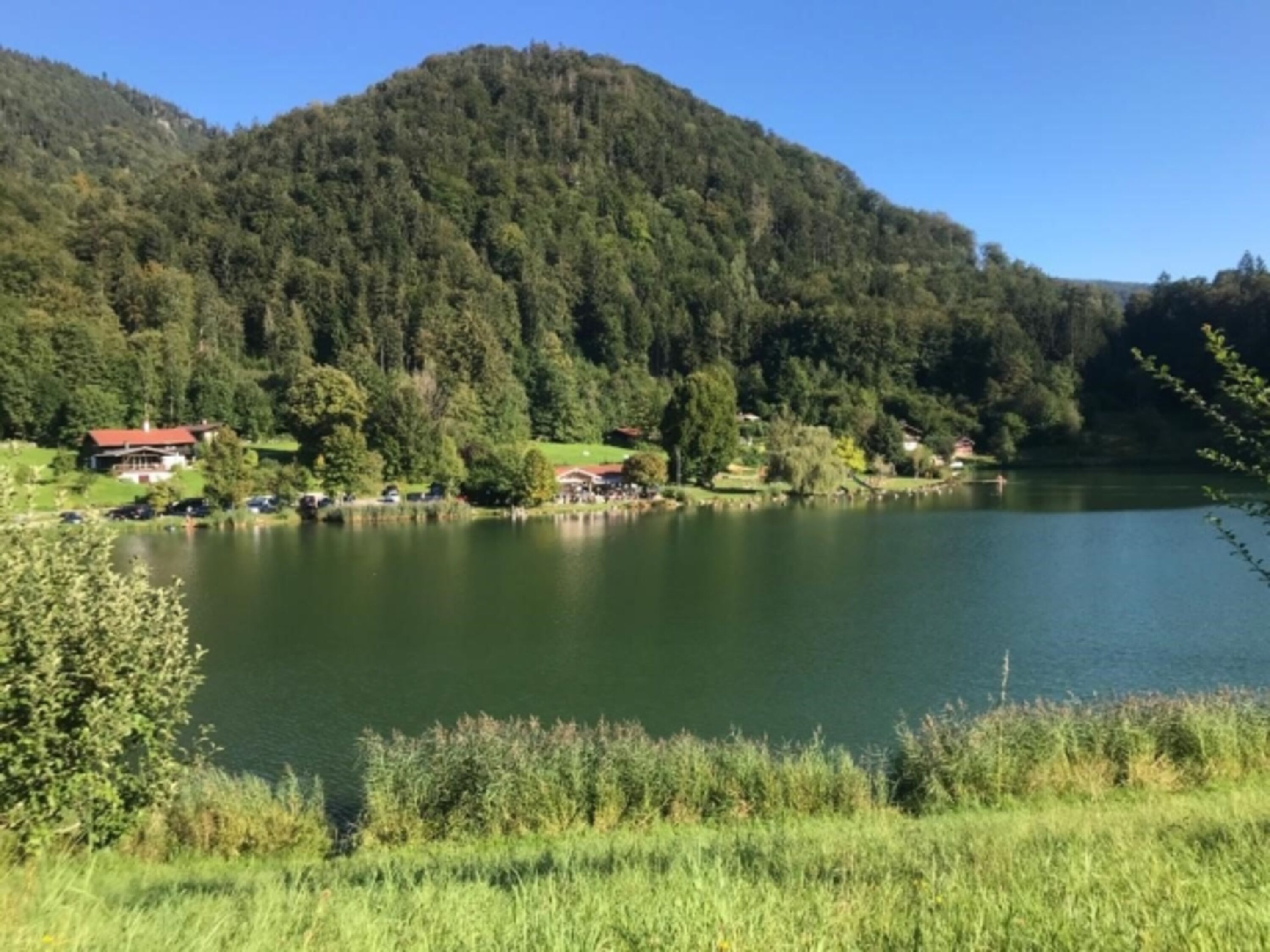 Wössnersee- Hundeschwimmbad 