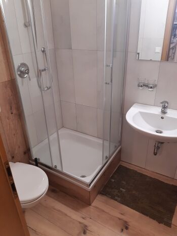 Duschbad im Alpendesign 