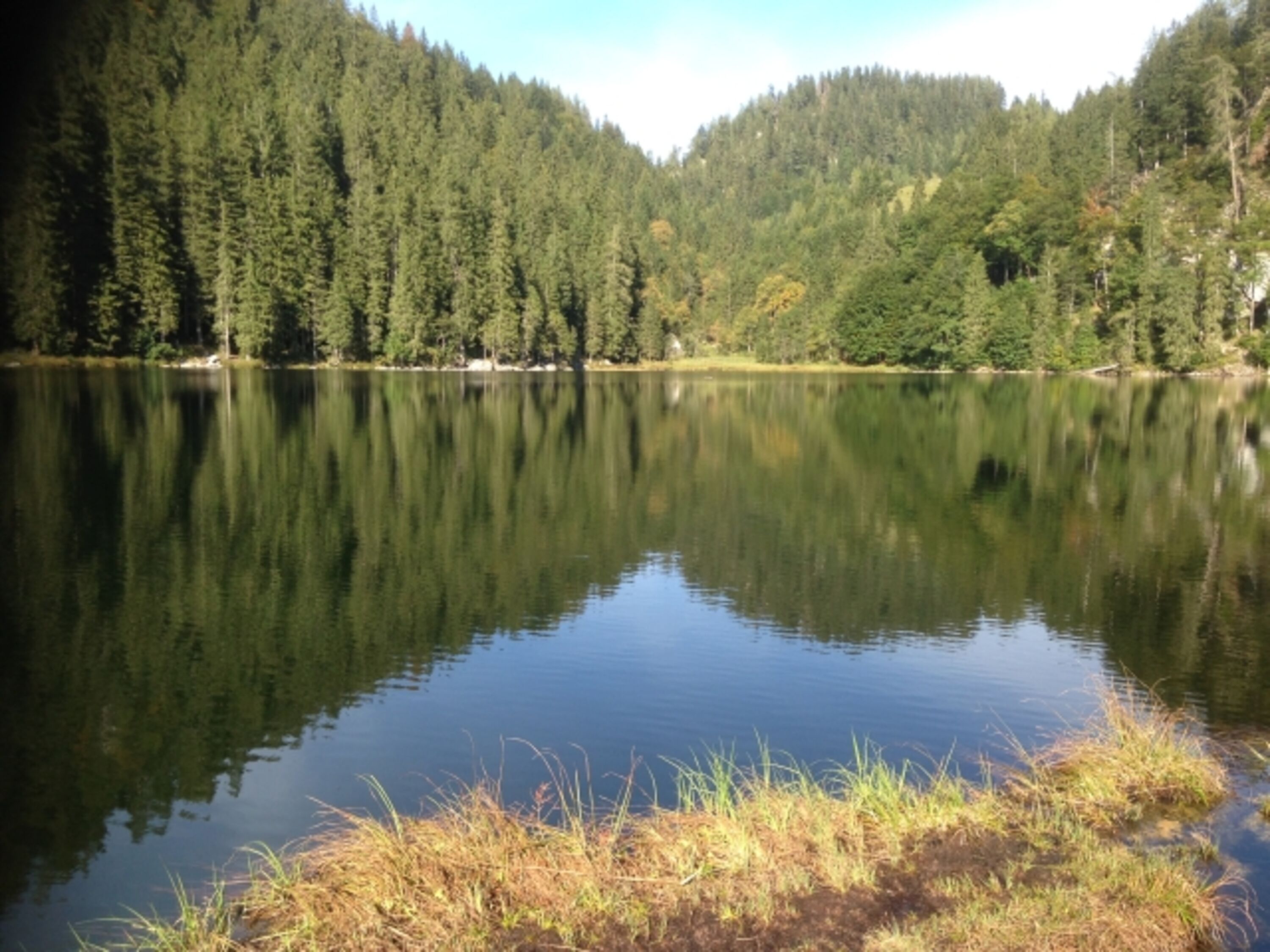 Taubensee