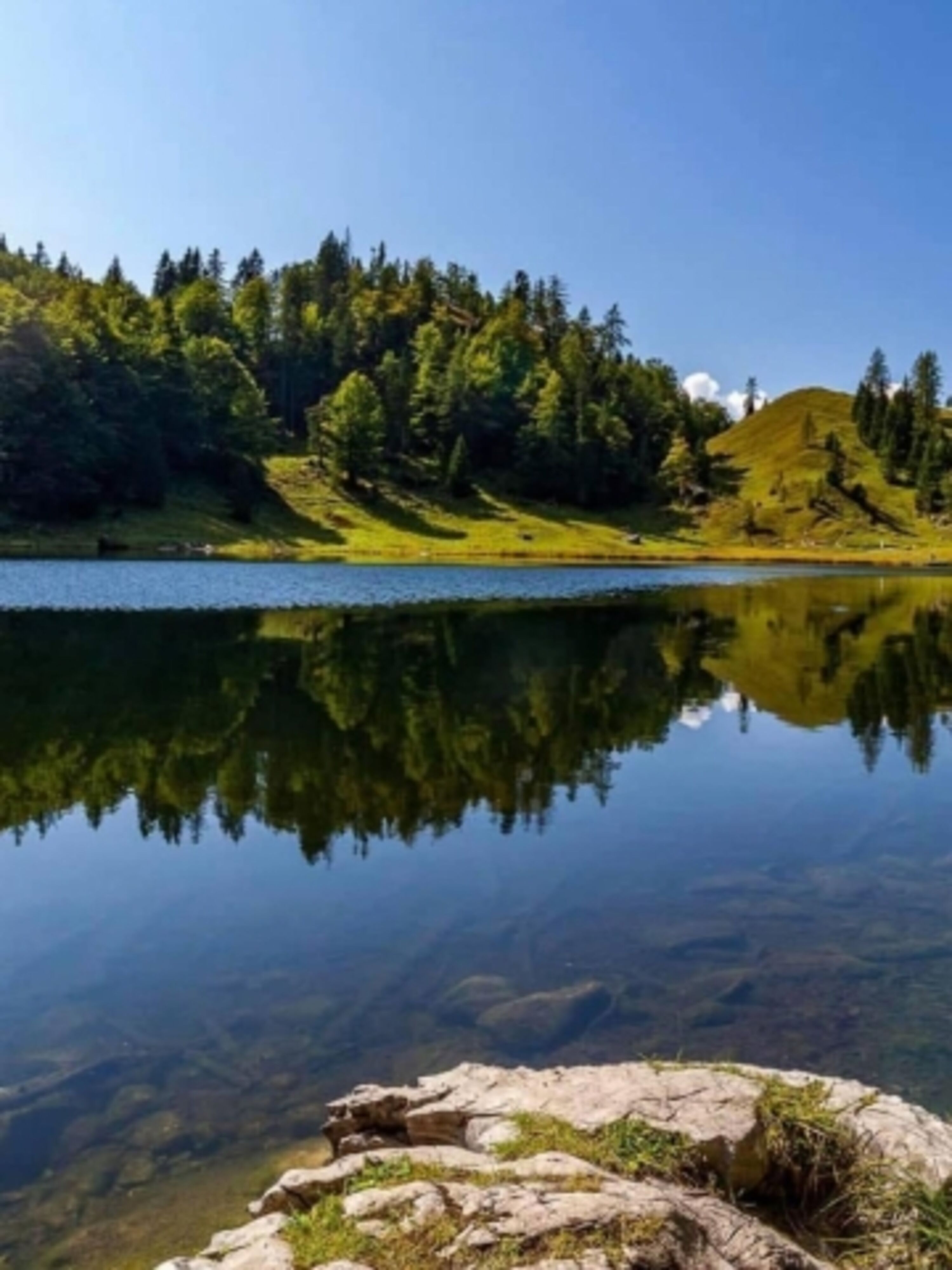 Taubensee 