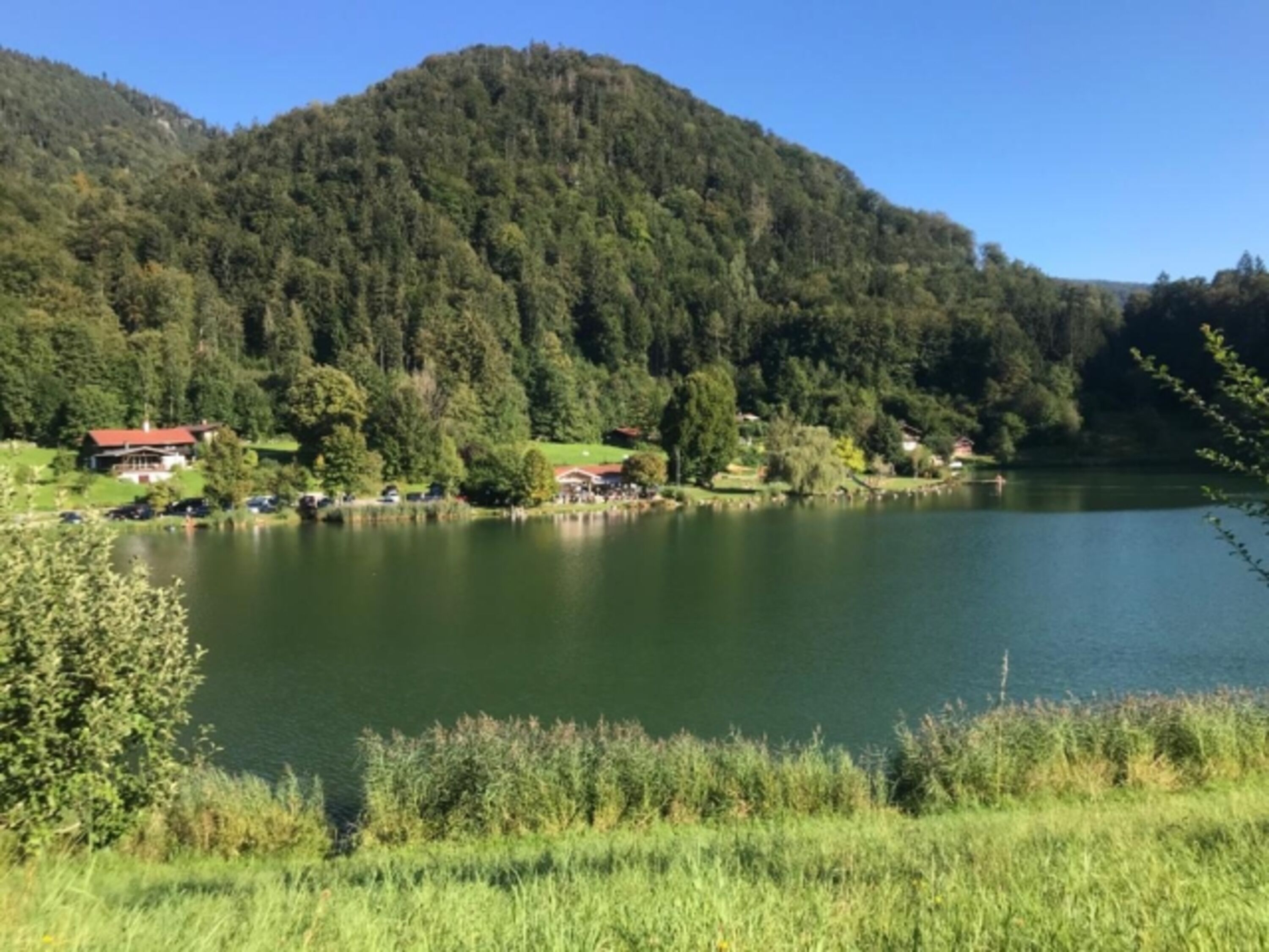 Wössnersee mit Hundeschwimmbad 
