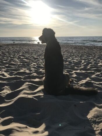 Strand Bakenberg (10 Min/Auto)