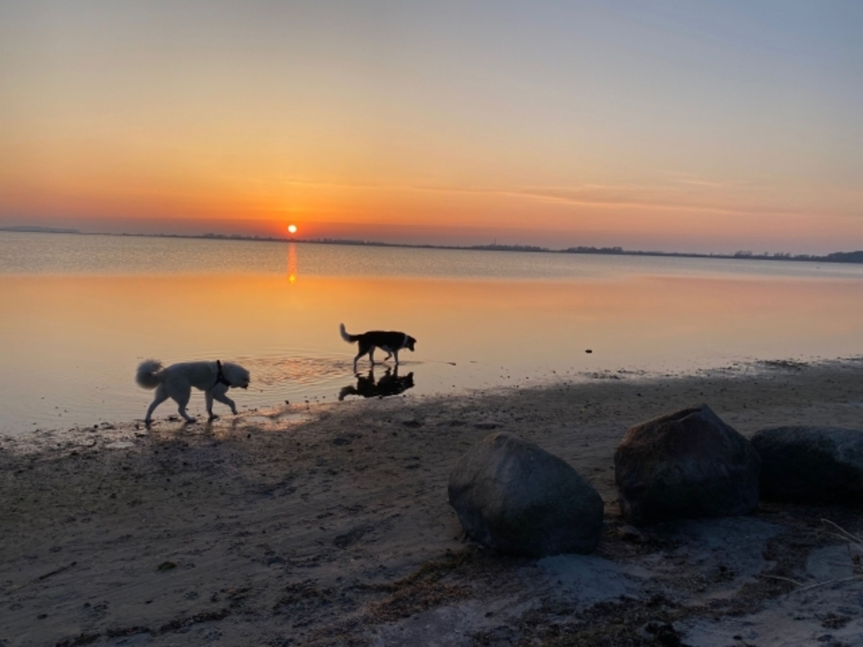 Hausstrand