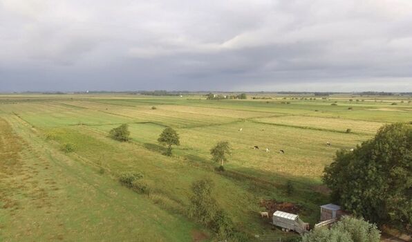 Blick aus dem Schlafzimmer 