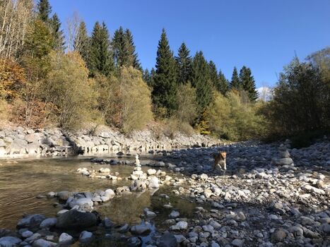 Loferstrand mit Kieseln 