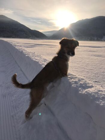 Premiumwinterwandern 