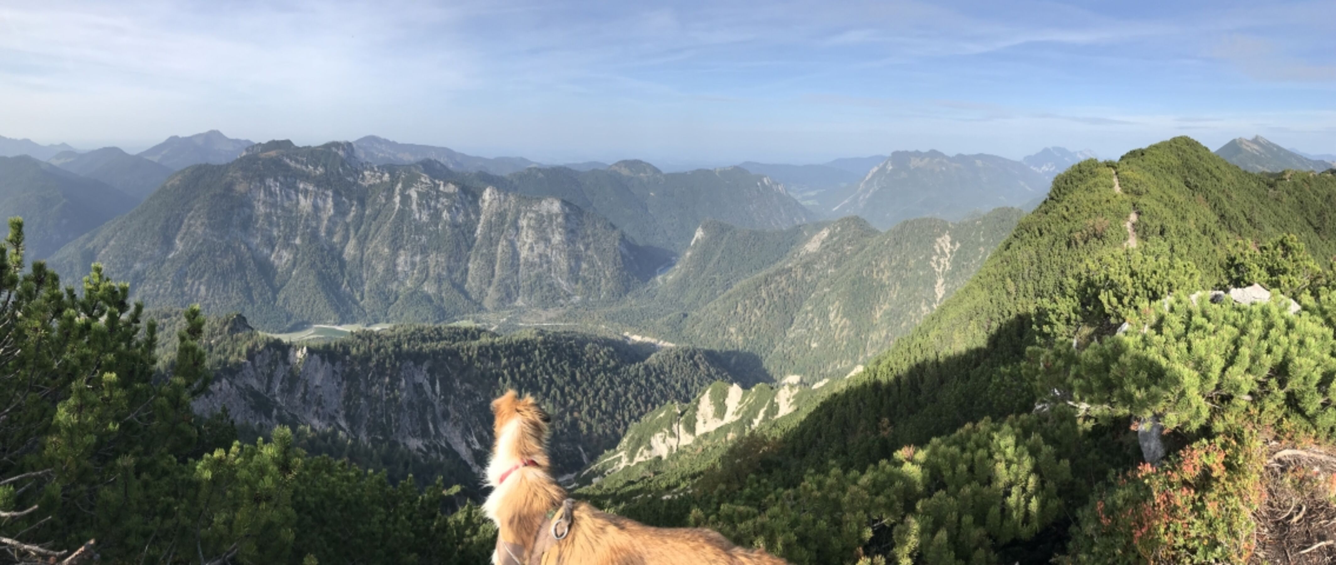 Premiumwanderung 