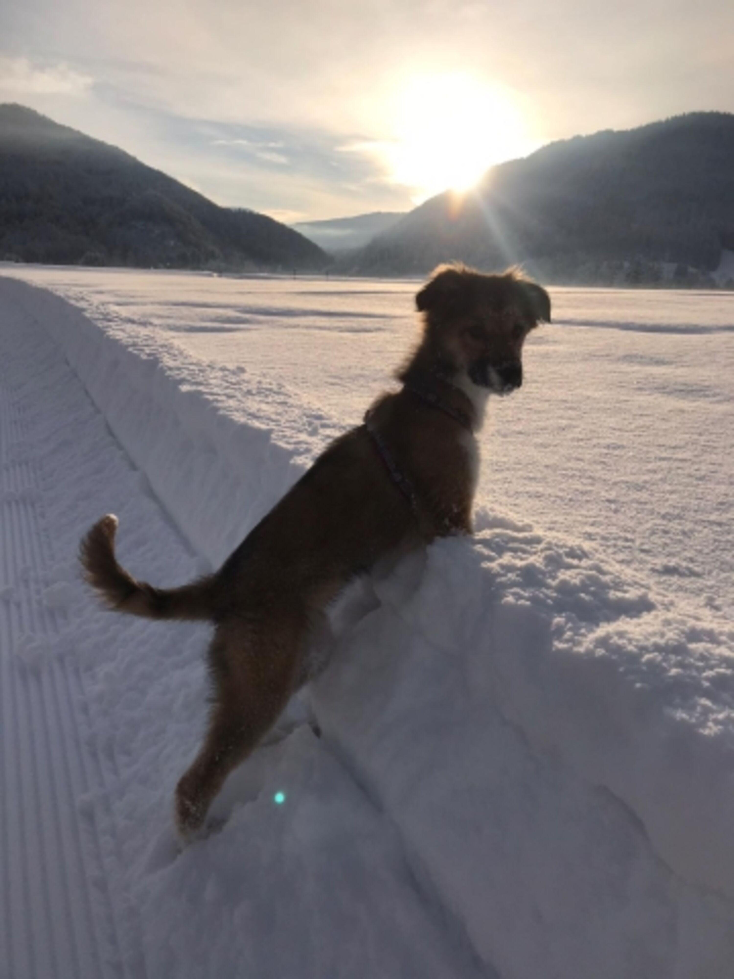 Premiumwinterwandern 