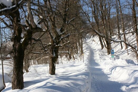 herrich .... Winter  :-)